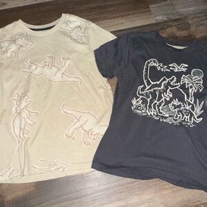 Kids Dinosaur Graphic Tees - Cream and Gray